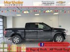 Thumbnail Photo 69 for 2019 Ford F150